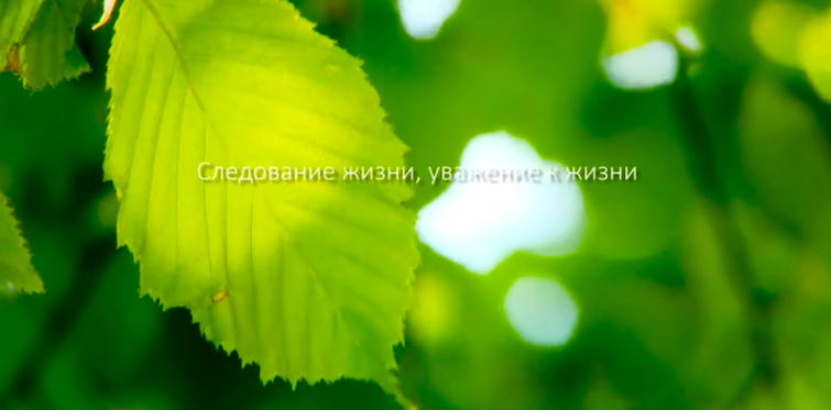 胜游亚洲集团形象片（русский）